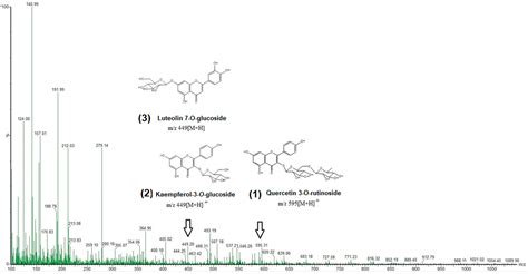 Neuropharmacological Activity of the Acetonic Extract of Malpighia ...