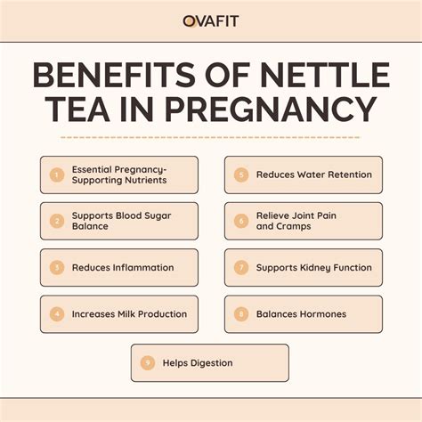9 Benefits of Nettle Tea in Pregnancy - OvaFit PCOS Supplements
