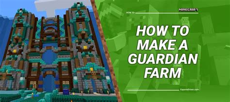 Image result for Guardian XP Farm Tutorial