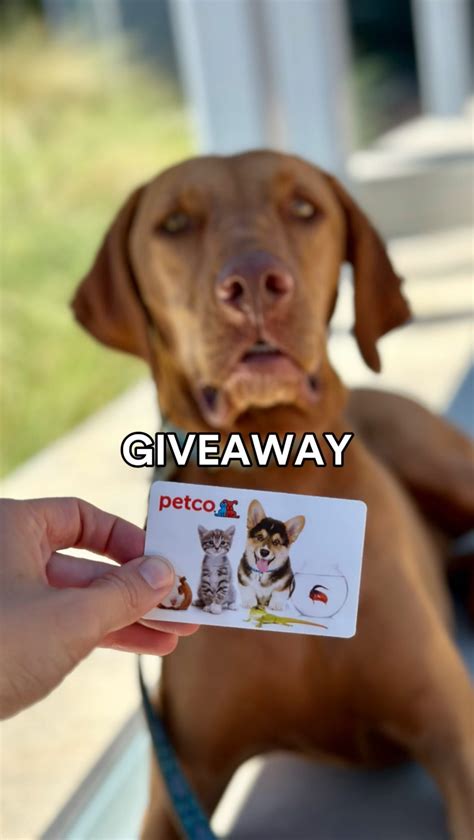 Petco | Happy #NationalDogDay! We’re celebrating with a giveaway 🎉🥳 We ...