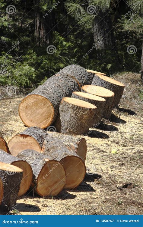 Log Being Cut into Firewood Stock Image - Image of burn, heat: 14507671