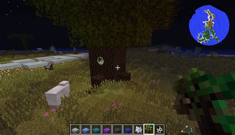 Image result for Tree of Time Sapling Minecraft