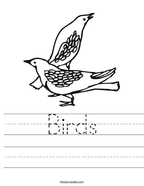 Bird Fly Worksheet 的图像结果