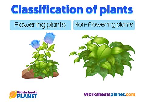 Image result for CLIL Lesson On Classifying Plants