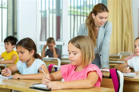 The German education system (2026)