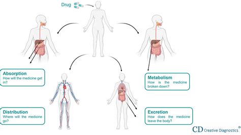 Tissue Distribution 的图像结果