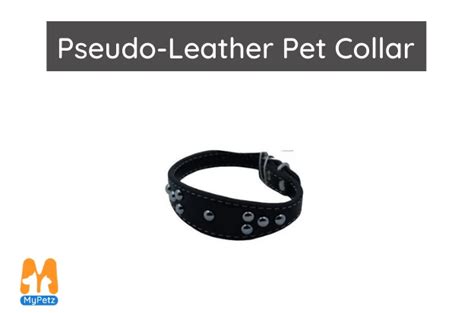 10 Best Dog Collars in 2022 | MyPetz