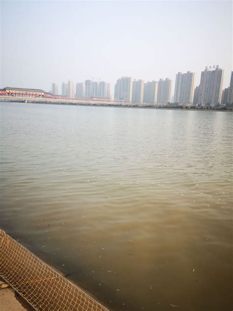 2021咸阳湖景区-旅游攻略-门票-地址-问答-游记点评，咸阳旅游旅游景点推荐-去哪儿攻略