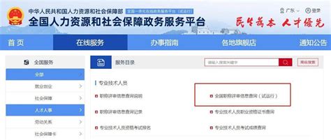 重庆专业技术人员服务平台职称系统个人申报_重庆市人力资源和社会保障局