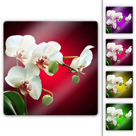 The beauty of an orchid Glass art - square | wall-art.com