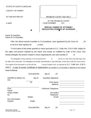 Horry County Probate Court s Doc Template | pdfFiller