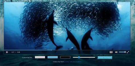 Image result for HTML5 Video Player Best