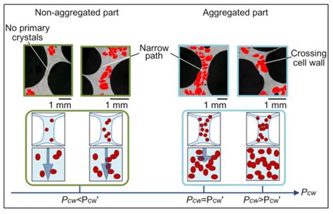 Percolation of Primary Crystals in Cell Walls of Aluminum Alloy Foam ...