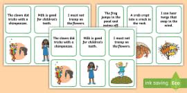 Phase 3 Sentences and Pictures Matching Cards