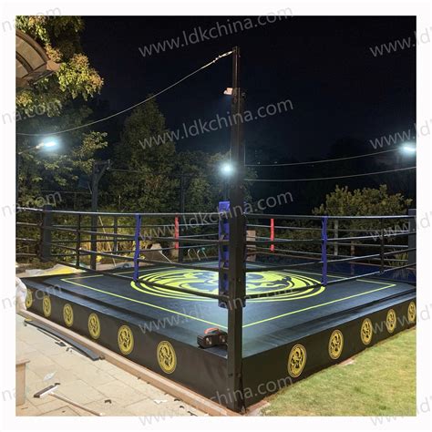 China LDK Sports Equipment Indoor Panoramic Cancha De Padel Supplier ...