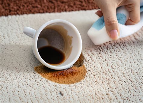How To Get Coffee Stains Out Of Carpet: Effective Tips And Methods