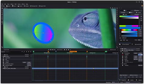 Force Animation 的图像结果