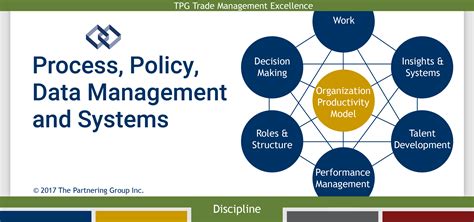 Data Management Process 的图像结果