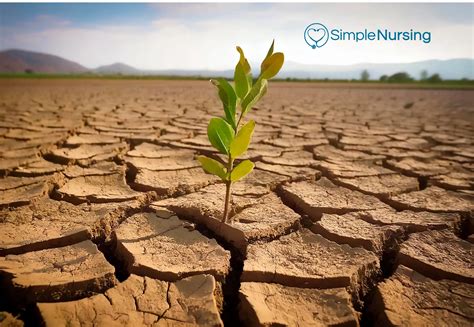 Exploring Fidelity in Nursing: A Key Ethical Principle