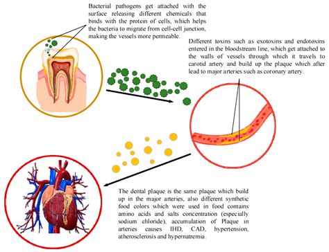 Cross Talk between Synthetic Food Colors (Azo Dyes), Oral Flora, and ...