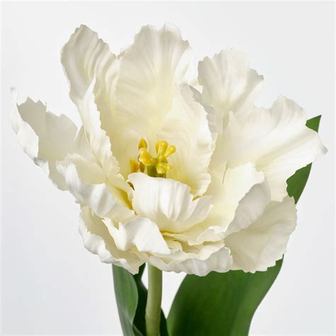 SMYCKA artificial flower, in/outdoor tulip/assorted colours, 50 cm (19 ...