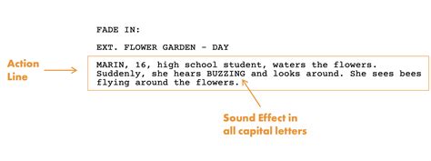 Image result for Formatting a Script