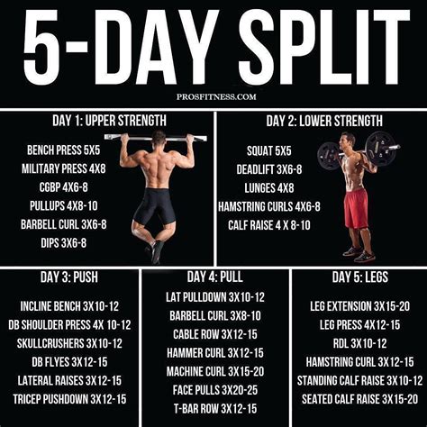 Weight Lifting Routine For Muscle Gain