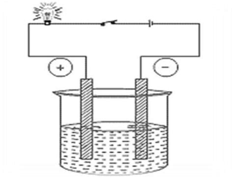 Which of the following solutions will not make the bulb glow? (a ...