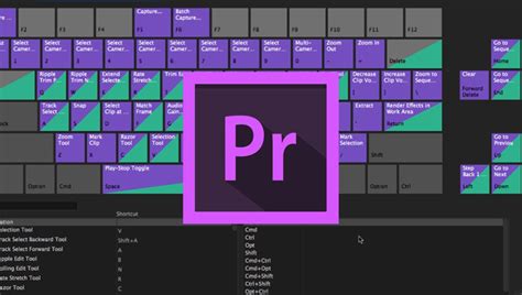 Adobe Premiere Pro Beta Has New Import/Export Features - Newsshooter
