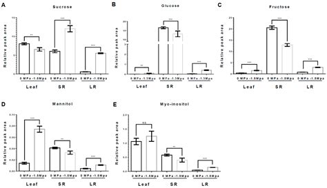 Role of Carrot (Daucus carota L.) Storage Roots in Drought Stress ...