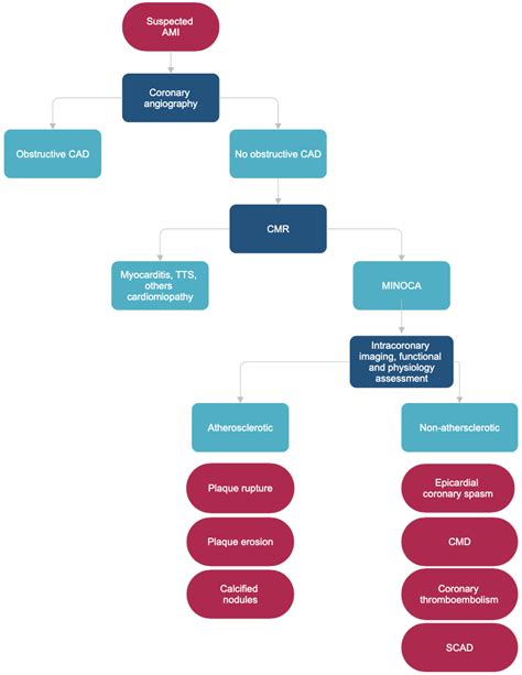 Myocardial Infarction with Nonobstructive Coronary Arteries (MINOCA ...