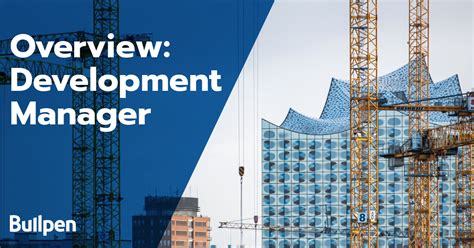 Image result for Development Manager