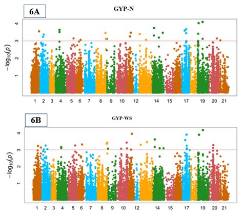 Genome-Wide Association Mapping for Stomata and Yield Indices in Bread ...