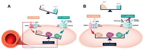 Novel Molecular Mechanisms Involved in the Medical Treatment of Pulmonary Arterial Hypertension