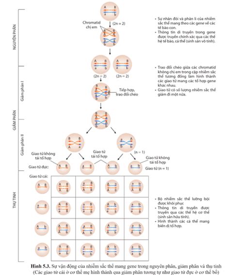 Image result for JavaScript Methods Cheat Sheet