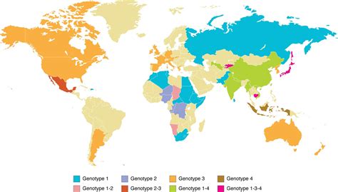 Current Knowledge on Hepatitis E