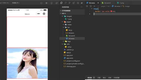 Importing Images into Java Graphics 的图像结果