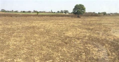 Over 40 percent of area may face drought in India due to deficient Pre ...