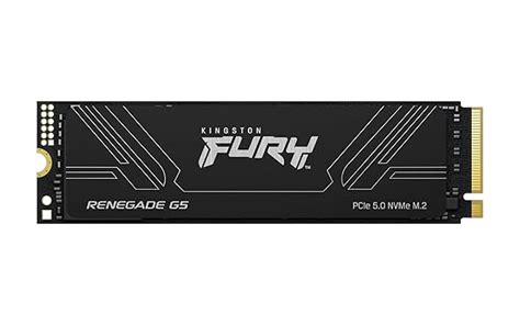 Amazon.in: Buy Kingston FURY Renegade G5 2TB | PCIe 5.0x4 M.2 2280 ...