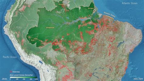 Amazon on the brink: Forest degradation driving carbon loss in the ...