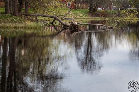 Image result for Spring Work Reflections