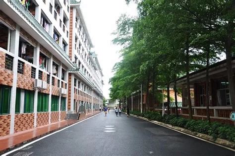 肇庆开放大学召开2022-2023年度老年教育表彰大会-广东开放大学
