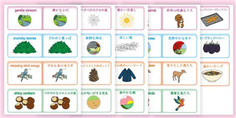 秋形容詞｜Twinkl英語学習