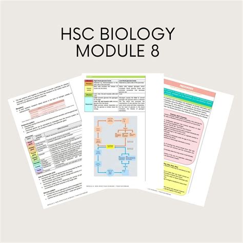 HSC Bio Notes 的图像结果