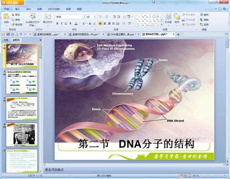 DNA分子的结构ppt-DNA分子的结构ppt课件免费版【高中生物】-东坡下载