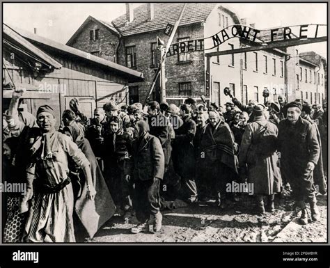 Auschwitz-Birkenau prisoners liberation by Soviet troops 26th January ...
