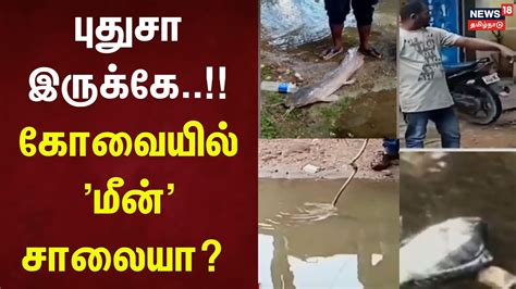 Coimbatore Rain | புதுசா இருக்கே.. கோவையில் 'மீன்' சாலையா? | Coimbatore ...