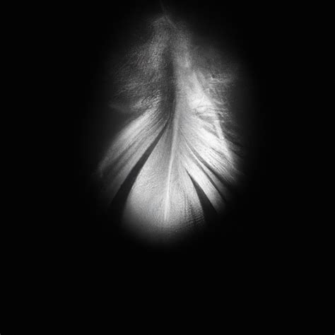 What Does 323 Angel Number Mean in Numerology? - EZ Manifesting