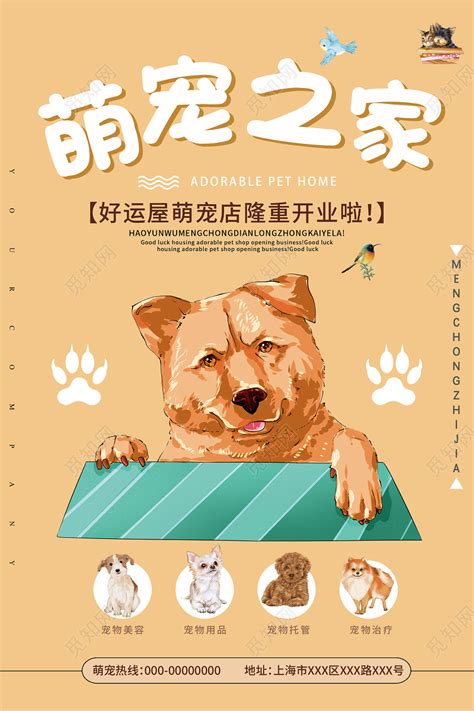 黄色简约萌宠之家宠物店开业宣传活动宠物海报图片下载 - 觅知网