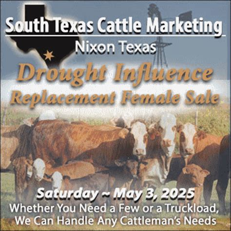 "Shootin' The Bull"… Nearing a ‘Turning Point’ in the Cattle Industry ...